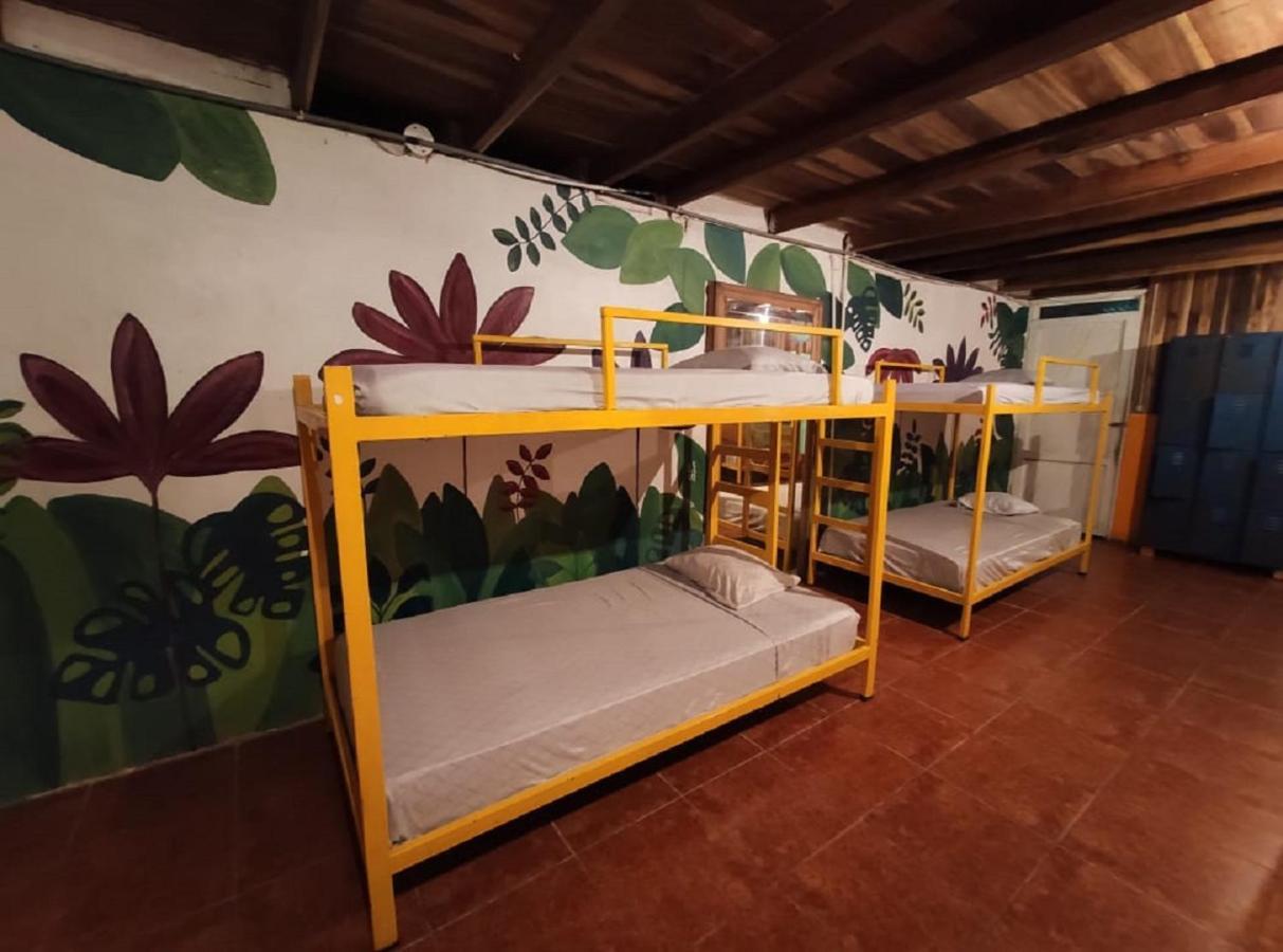 Madre Selva Hostel Puerto Viejo de Talamanca Luaran gambar