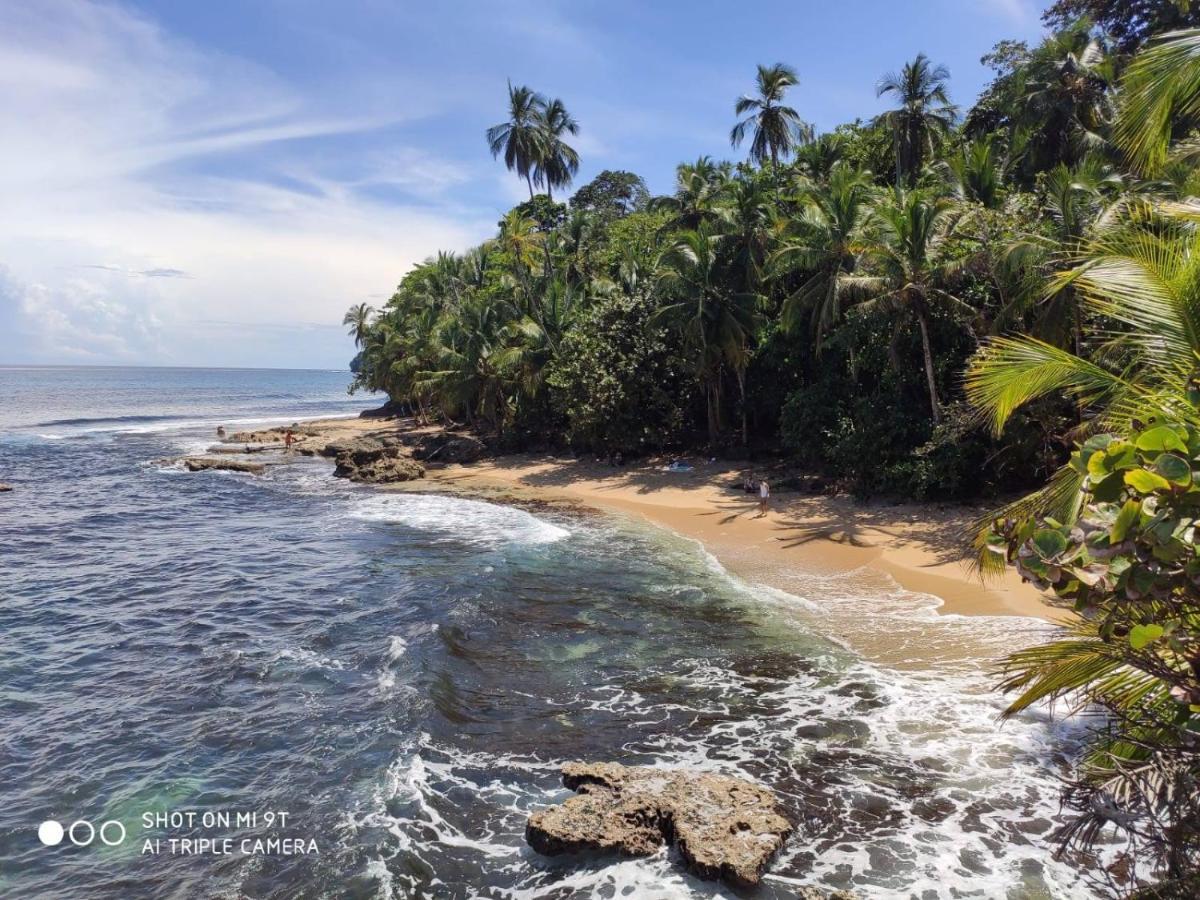 Madre Selva Hostel Puerto Viejo de Talamanca Luaran gambar