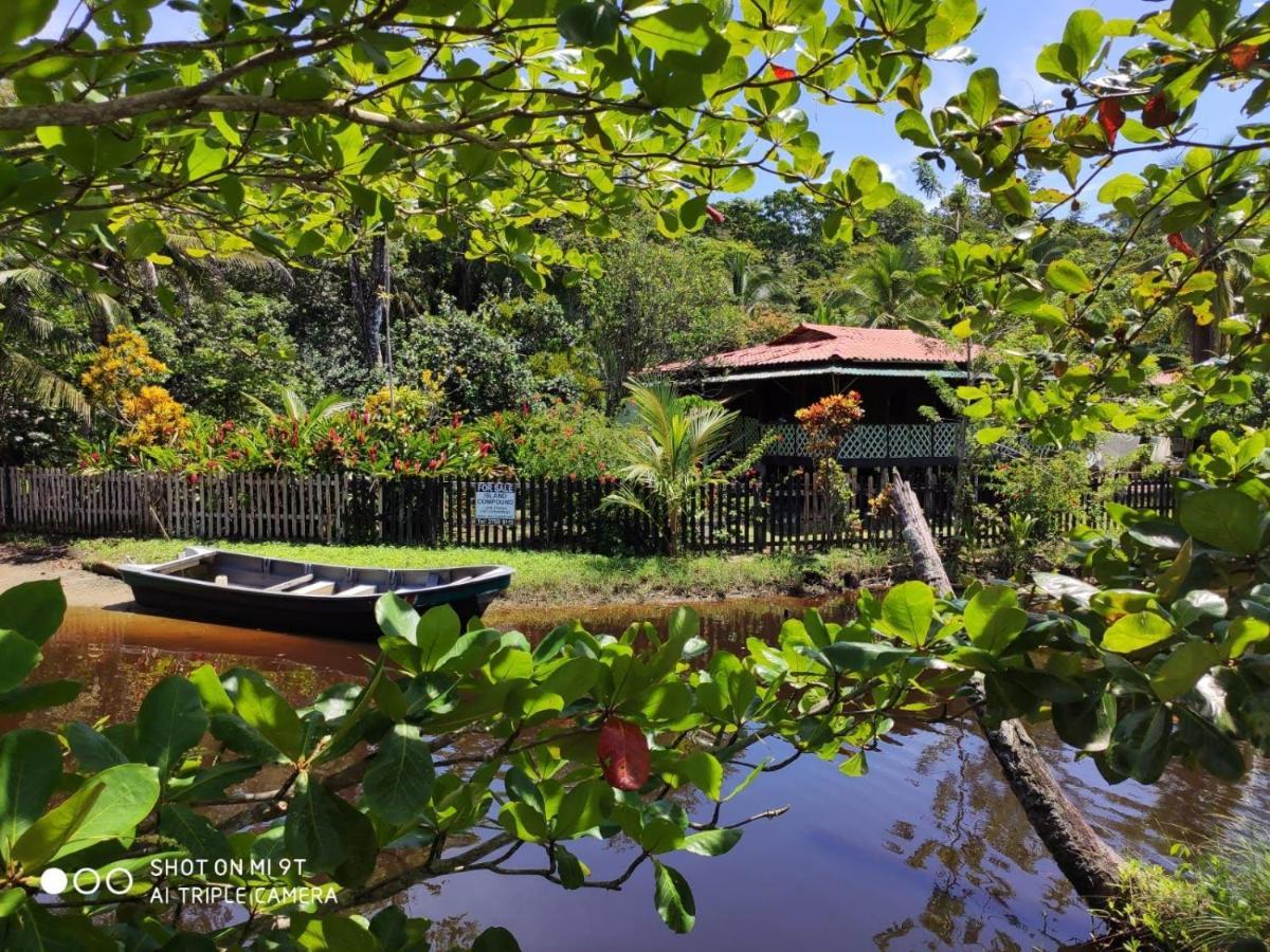 Madre Selva Hostel Puerto Viejo de Talamanca Luaran gambar