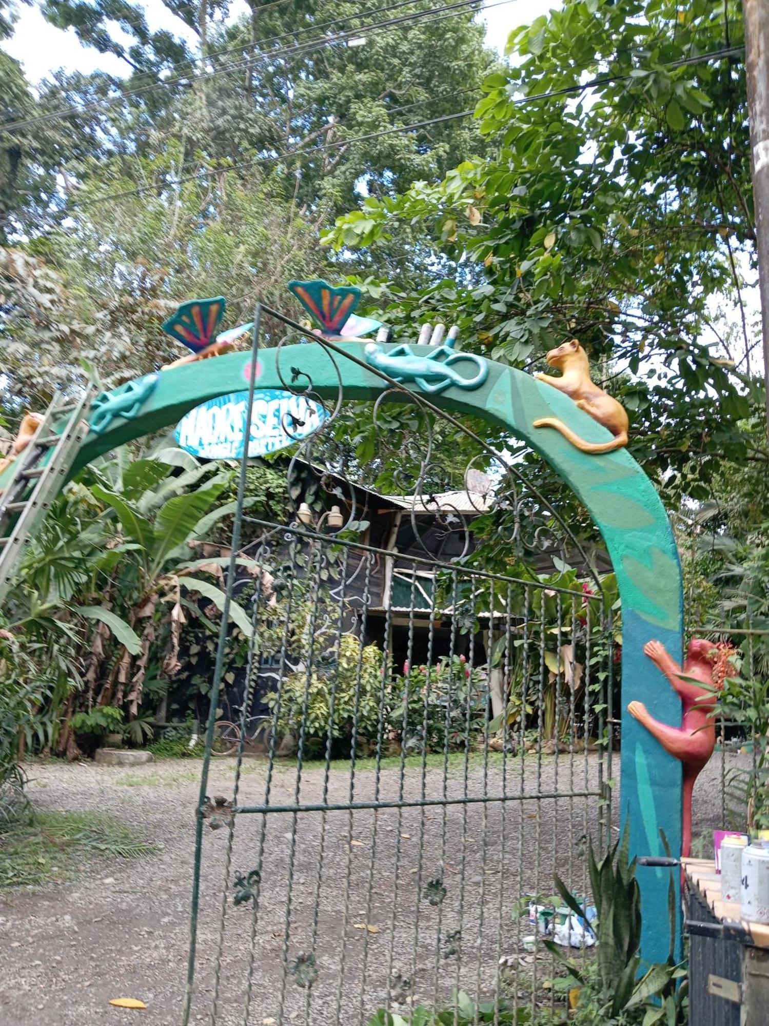 Madre Selva Hostel Puerto Viejo de Talamanca Luaran gambar