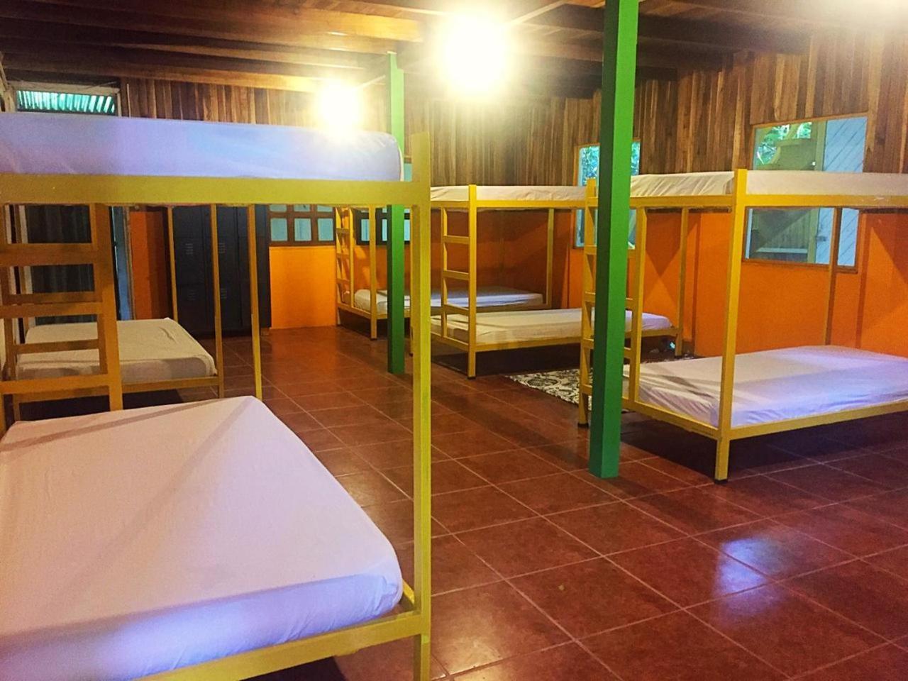 Madre Selva Hostel Puerto Viejo de Talamanca Luaran gambar