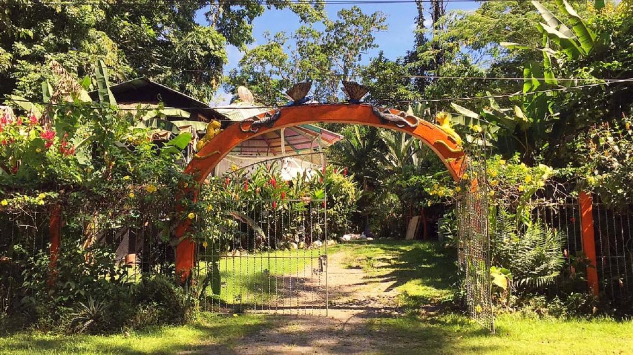 Madre Selva Hostel Puerto Viejo de Talamanca Luaran gambar