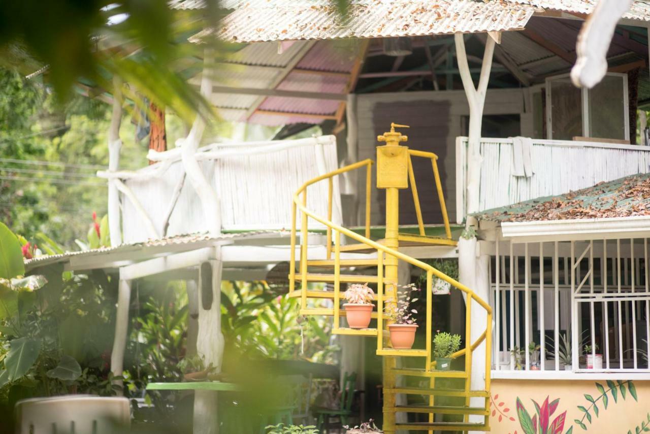 Madre Selva Hostel Puerto Viejo de Talamanca Luaran gambar