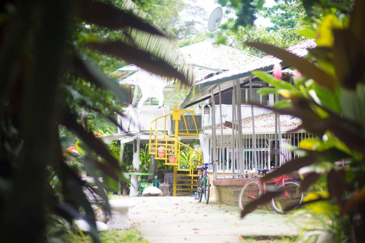 Madre Selva Hostel Puerto Viejo de Talamanca Luaran gambar