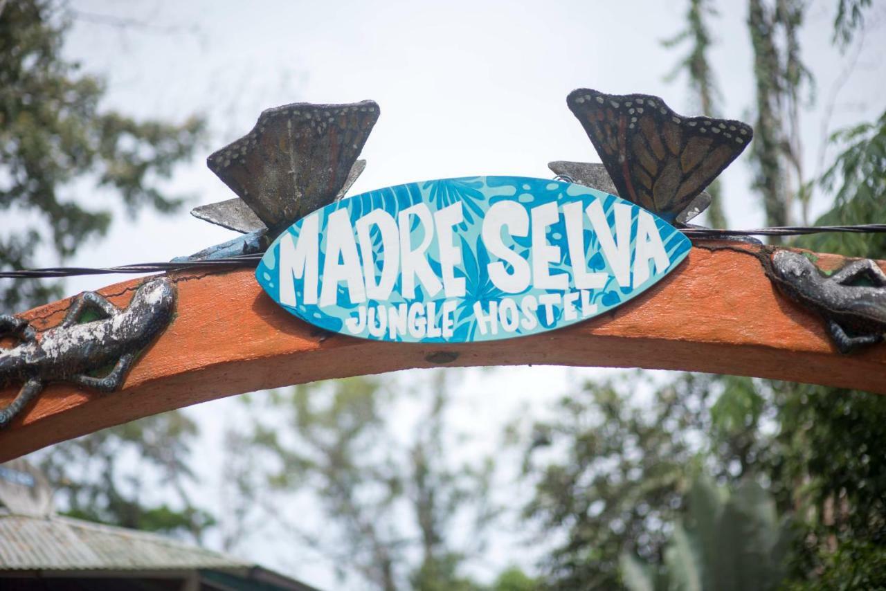 Madre Selva Hostel Puerto Viejo de Talamanca Luaran gambar